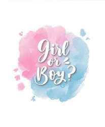 Gender Reveal Package