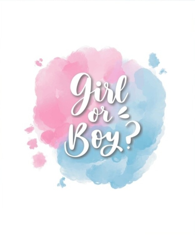 Gender Reveal Package