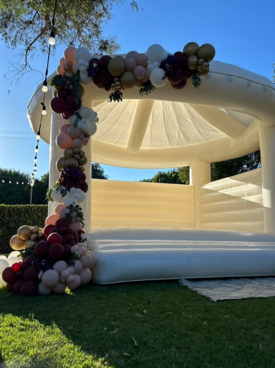 The Canopy Bouncer